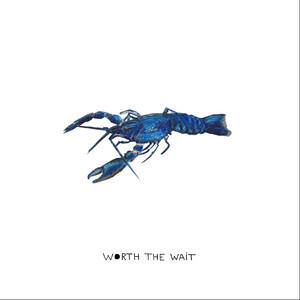 Worth The Wait - The Owls and Orcas: Produced